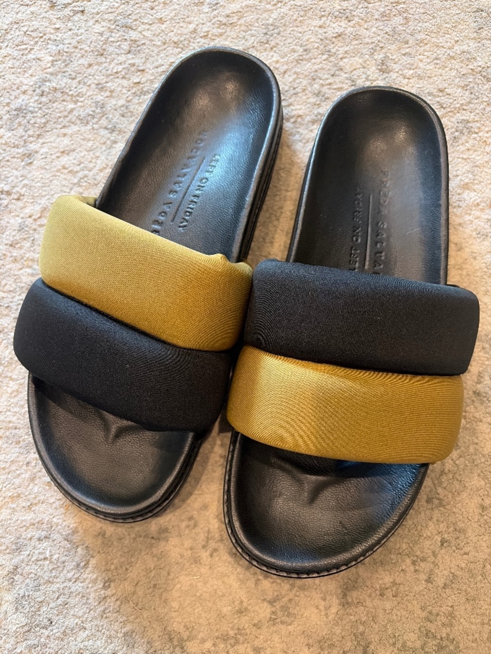 Freda Salvador Slides